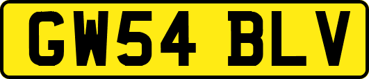 GW54BLV