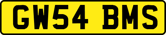 GW54BMS