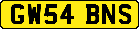 GW54BNS