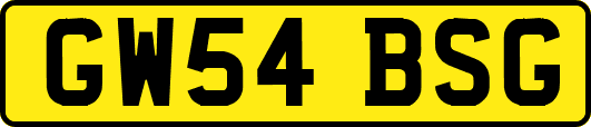 GW54BSG