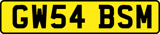 GW54BSM