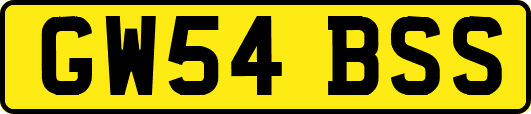 GW54BSS