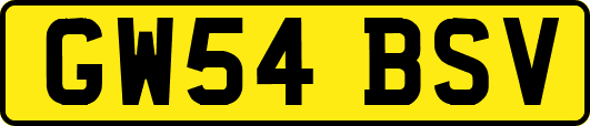 GW54BSV