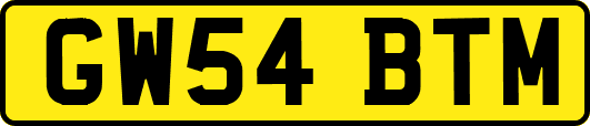 GW54BTM