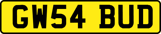 GW54BUD