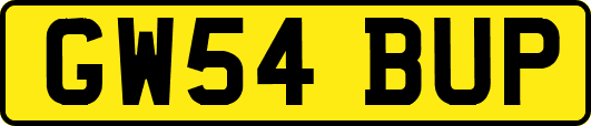 GW54BUP