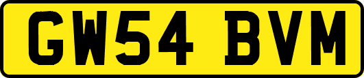 GW54BVM