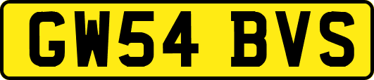 GW54BVS
