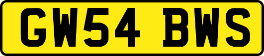 GW54BWS