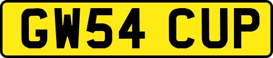 GW54CUP