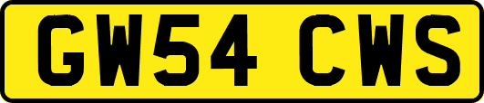 GW54CWS