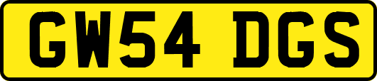 GW54DGS