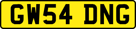 GW54DNG
