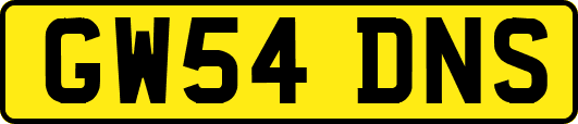 GW54DNS