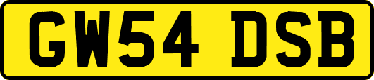 GW54DSB