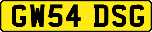 GW54DSG