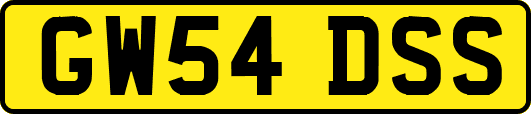 GW54DSS
