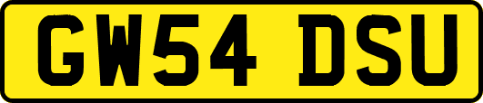 GW54DSU