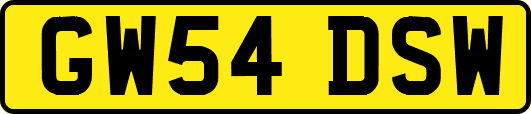 GW54DSW