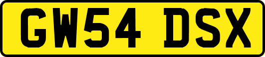 GW54DSX