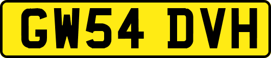 GW54DVH