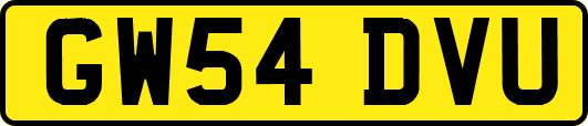 GW54DVU