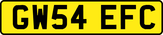 GW54EFC