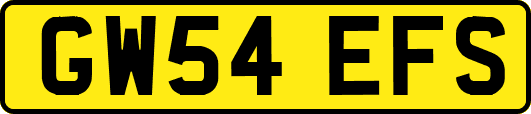 GW54EFS