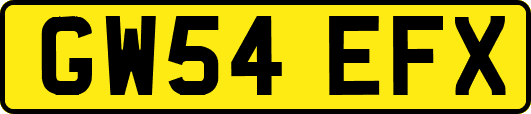 GW54EFX