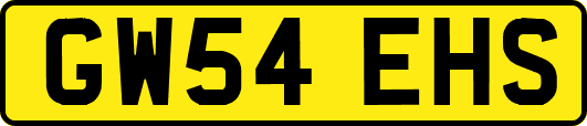 GW54EHS