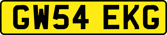 GW54EKG