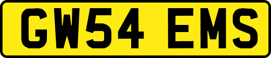 GW54EMS