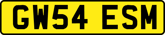GW54ESM