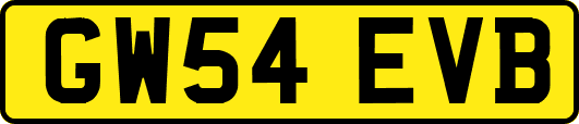 GW54EVB