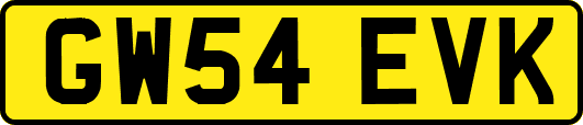 GW54EVK