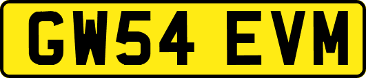 GW54EVM