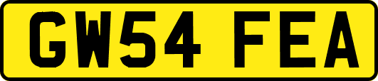 GW54FEA