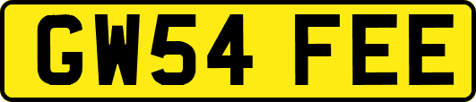 GW54FEE