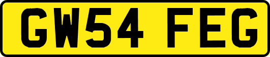 GW54FEG