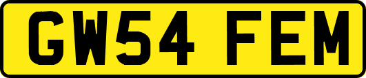 GW54FEM