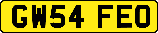 GW54FEO