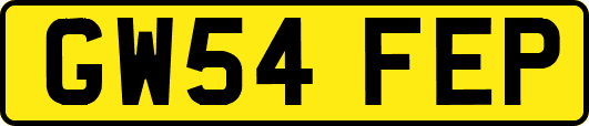 GW54FEP