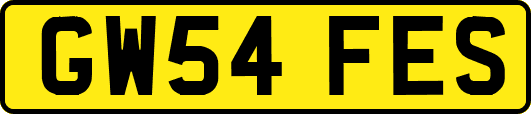 GW54FES