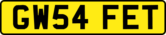 GW54FET