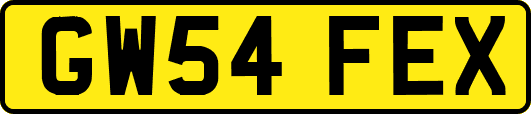 GW54FEX