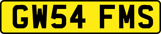 GW54FMS