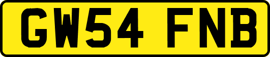 GW54FNB