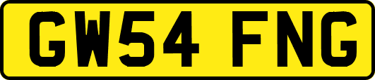 GW54FNG