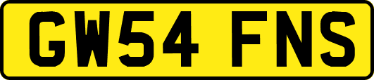 GW54FNS