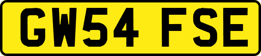 GW54FSE